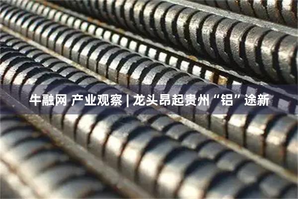 牛融网 产业观察 | 龙头昂起贵州“铝”途新