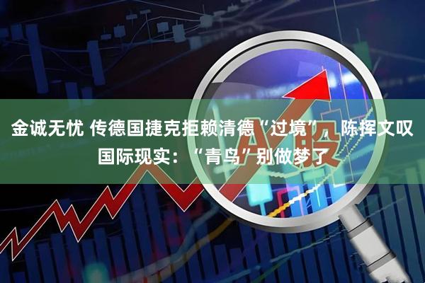 金诚无忧 传德国捷克拒赖清德“过境”，陈挥文叹国际现实：“青鸟”别做梦了
